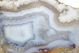 Polished Banded Agate Nodule Half - Wiley's Well, California #373391-1